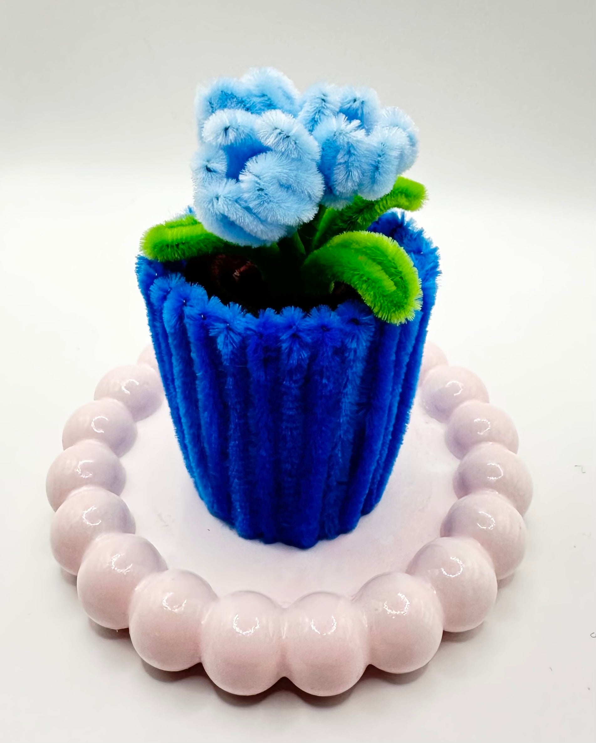 bloom for a cause