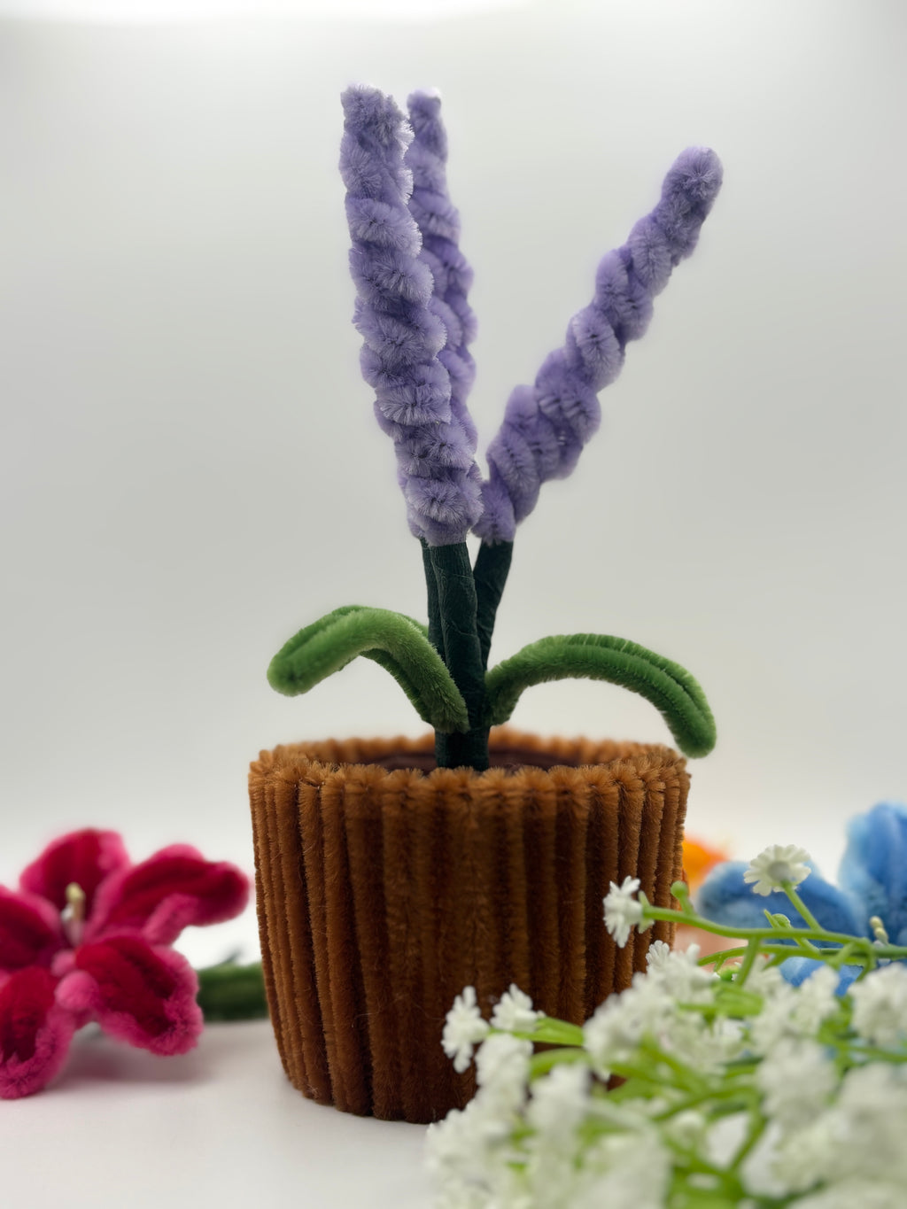 lavender