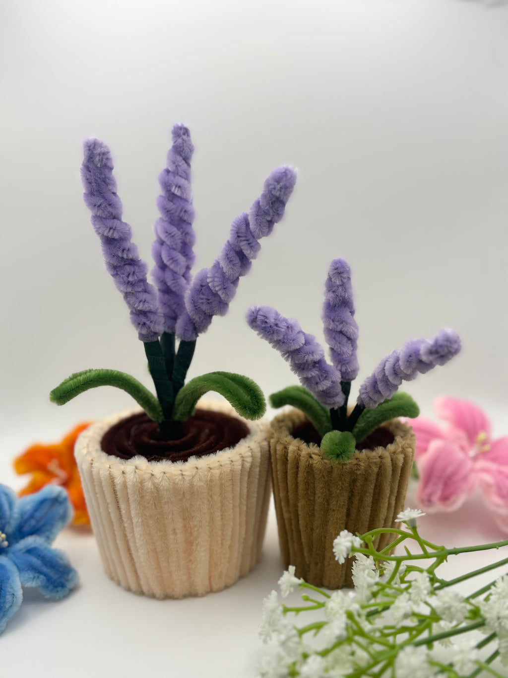 lavender