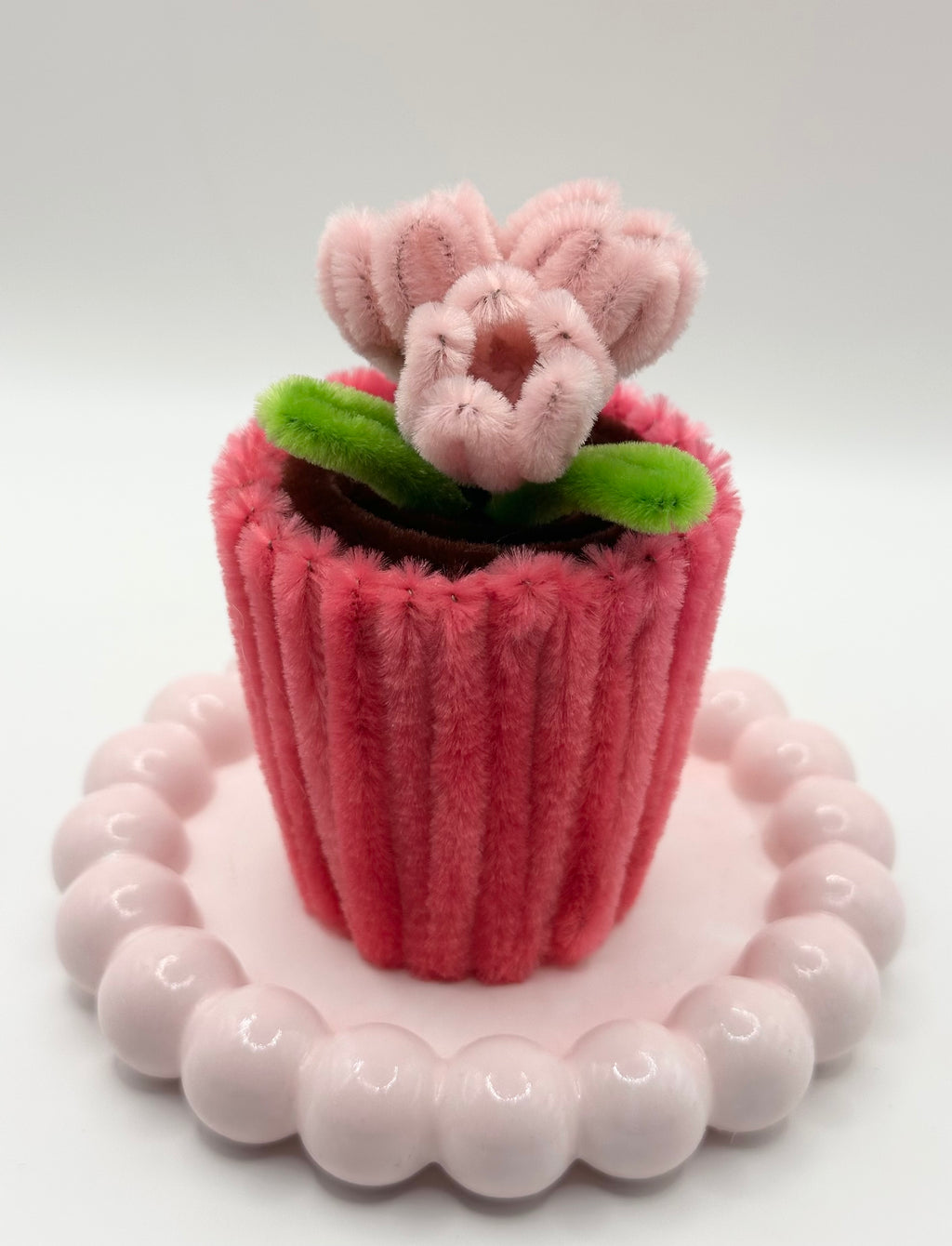 bloom for a cause