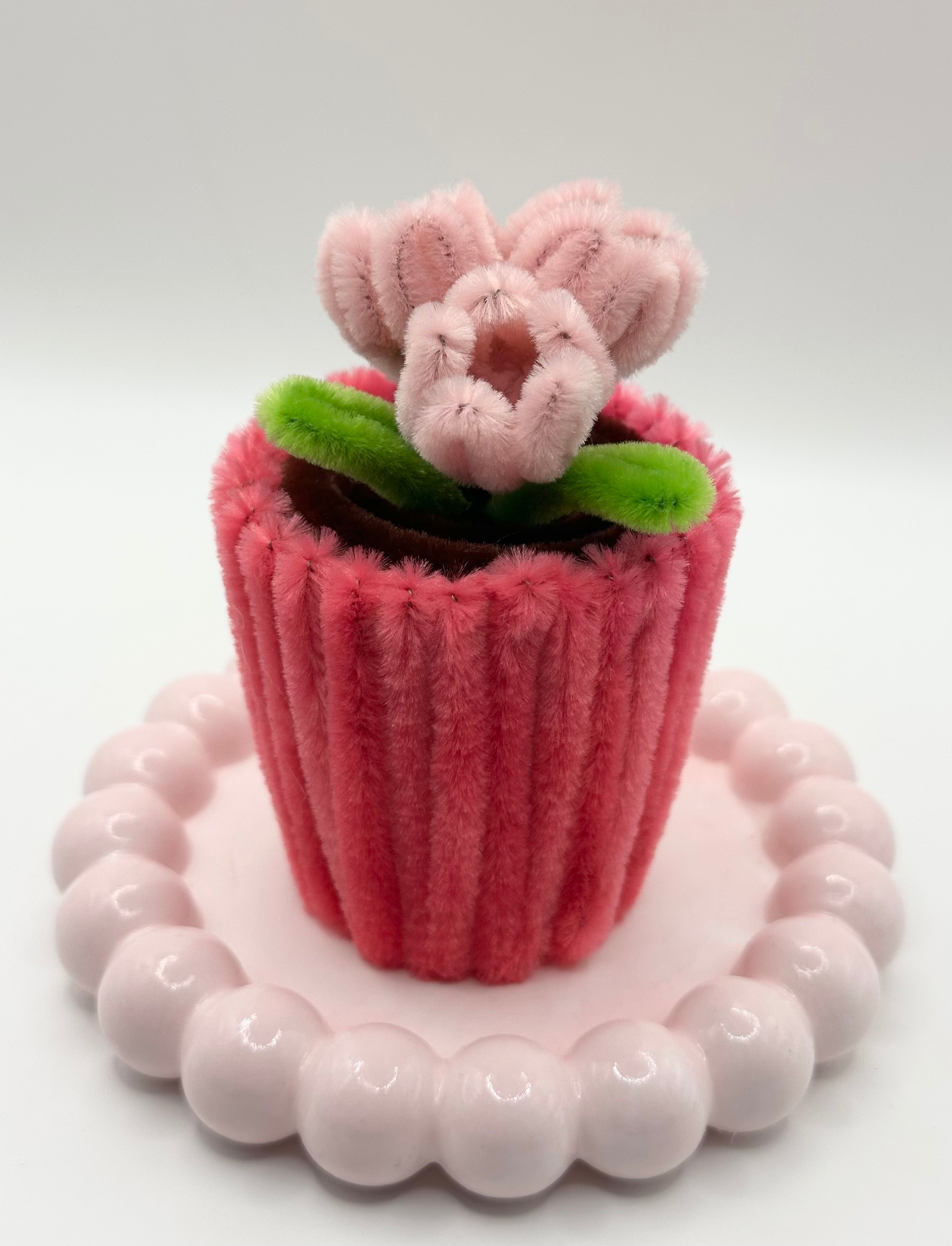 bloom for a cause
