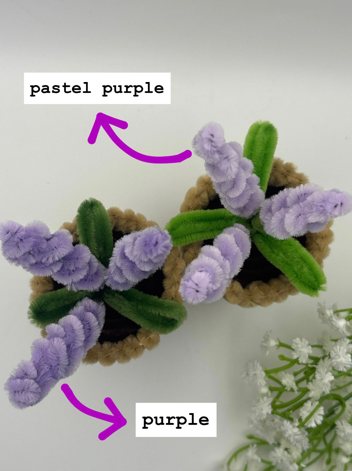 lavender