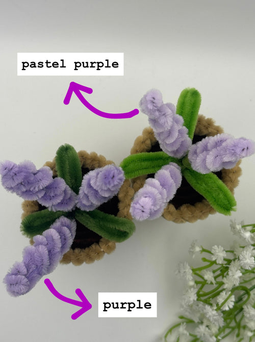 lavender