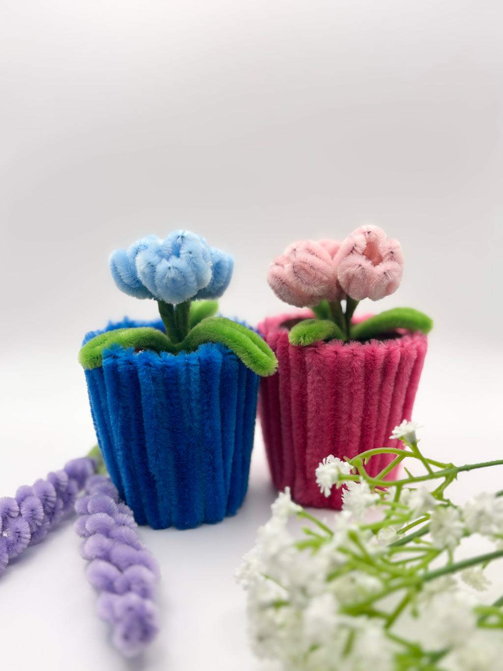 bloom for a cause