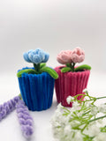 bloom for a cause