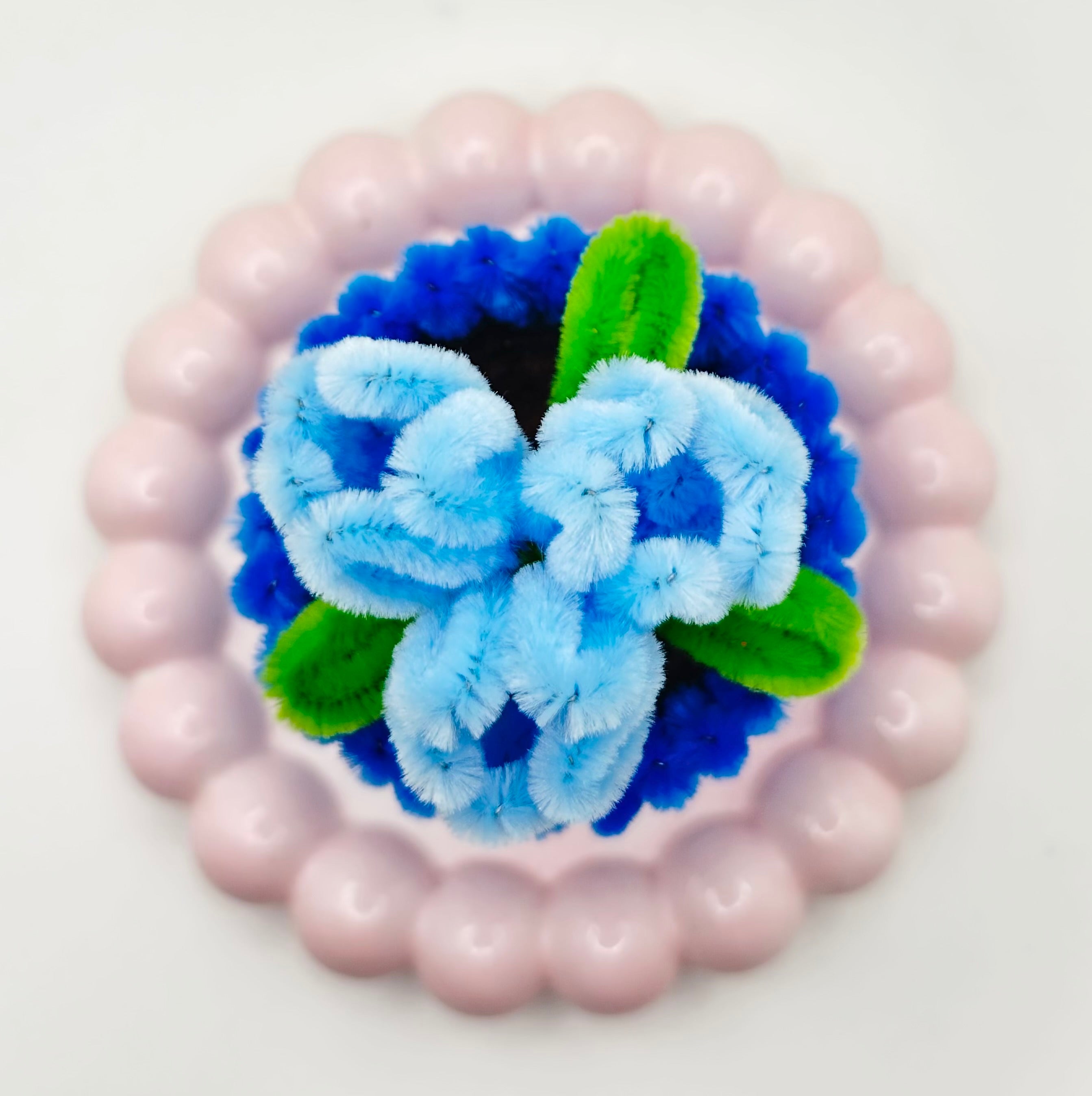 bloom for a cause